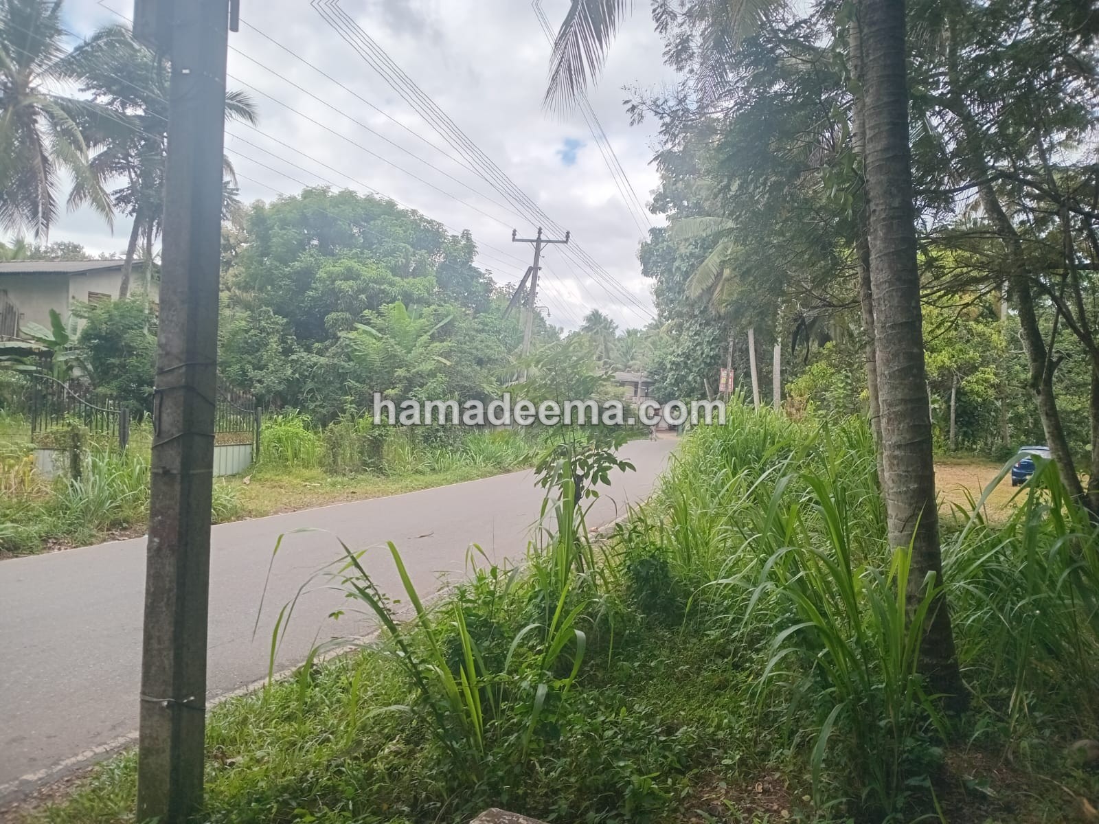 Land For Sale - Image 1