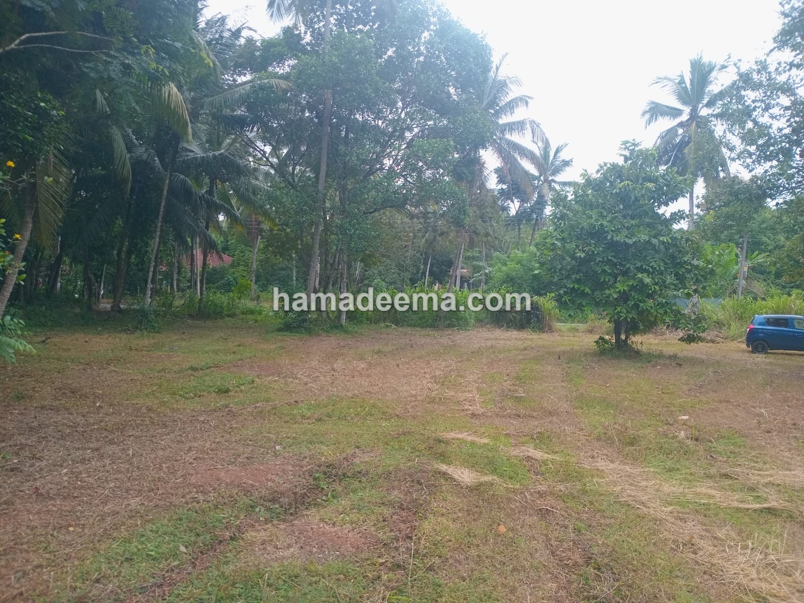 Land For Sale - Image 4