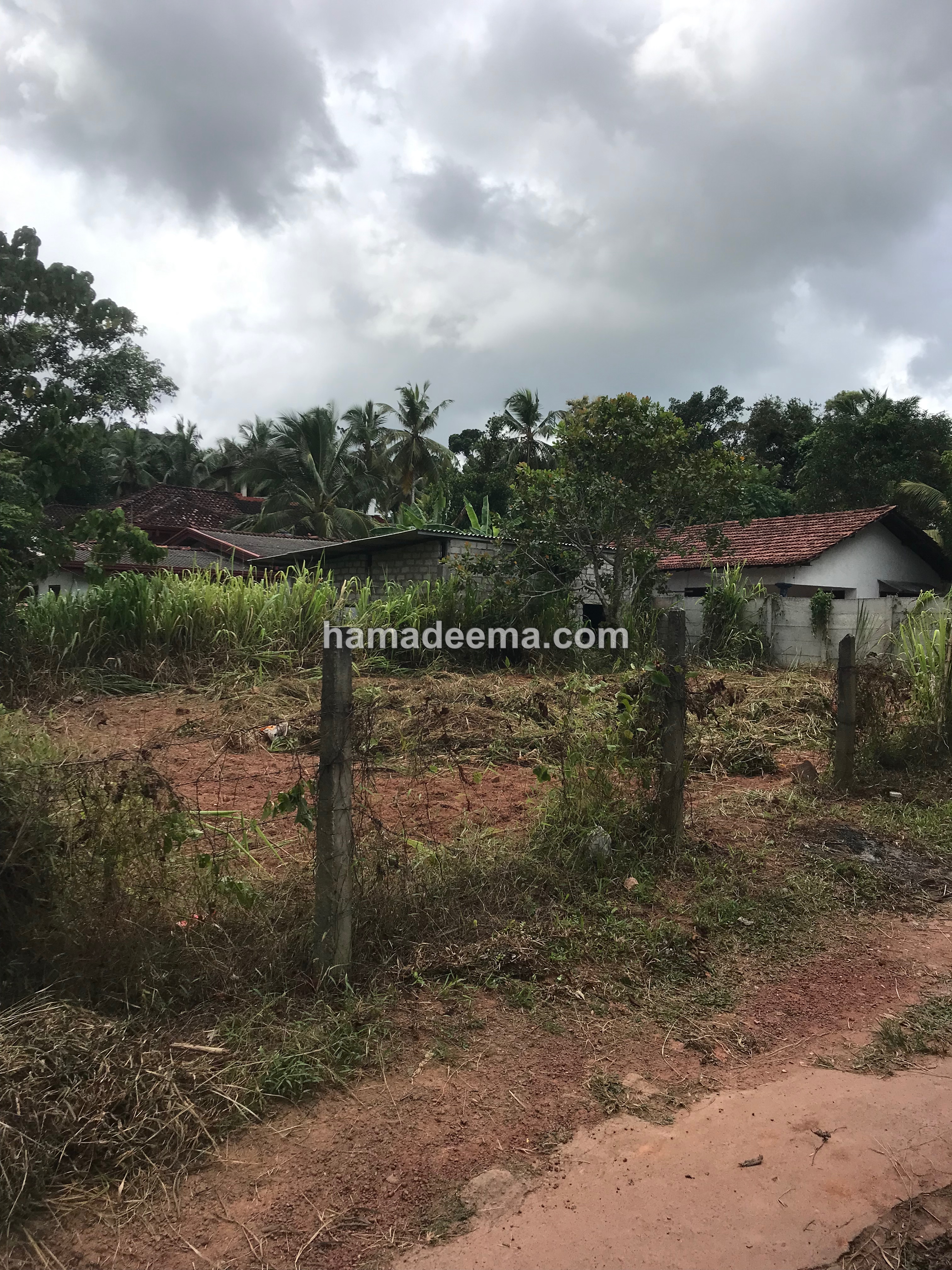 Land For Sale - Image 1