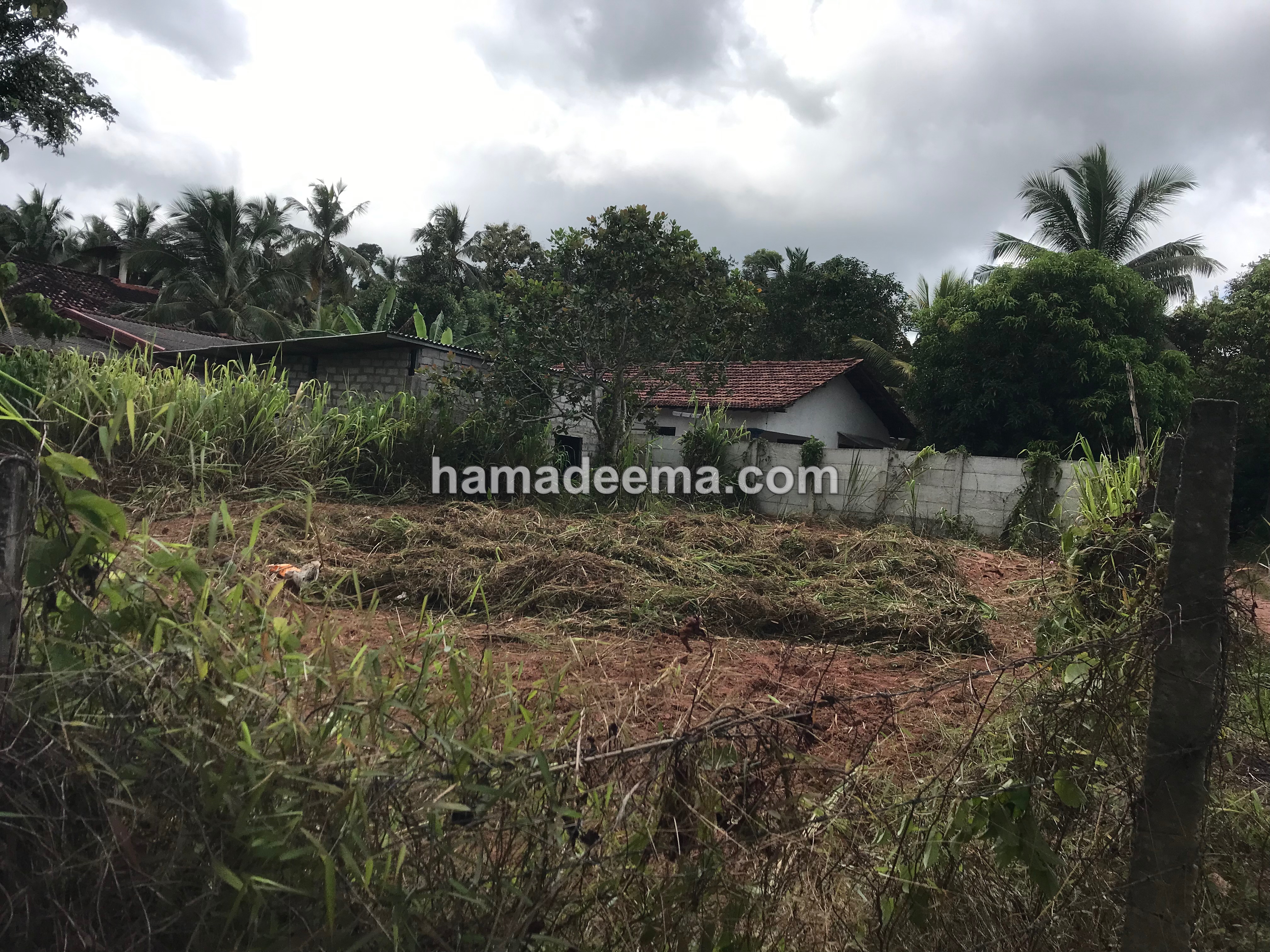 Land For Sale - Image 2